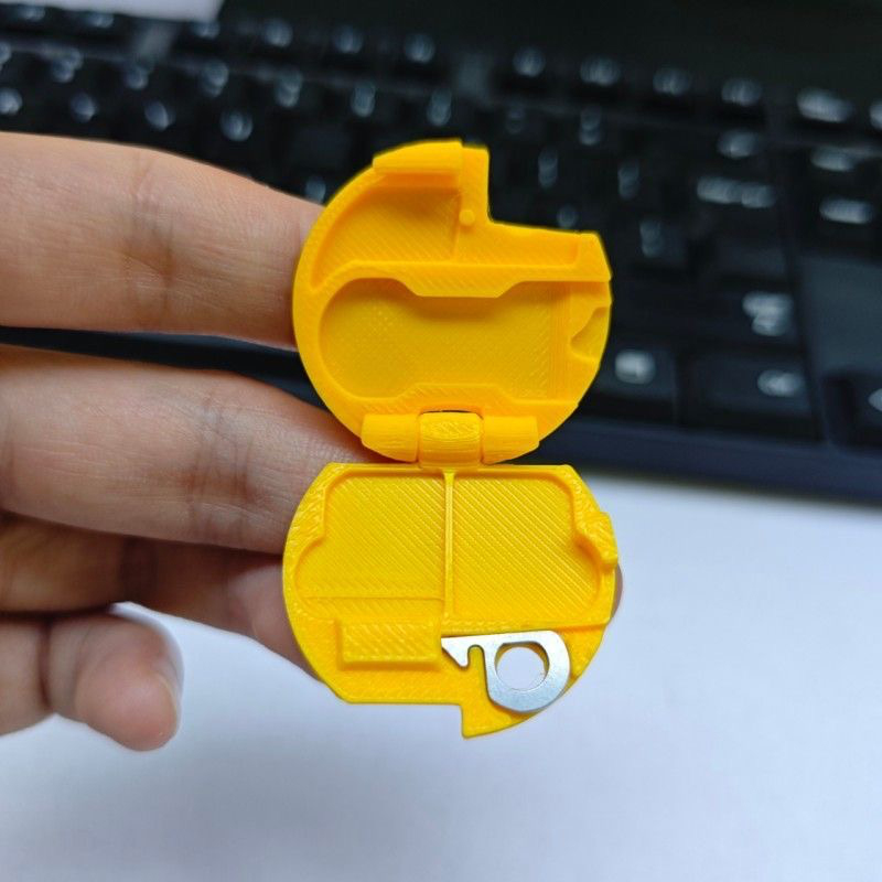 حامل بطاقات SIM وTF مطبوع بتقن - مراجعة Memory Card Case وسعره